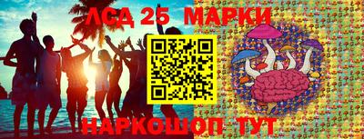 спиды Новодвинск