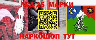 спиды Новодвинск