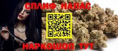 PSILOCYBIN Новозыбков