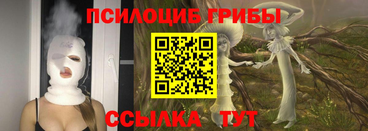 Псилоцибиновые грибы мухоморы  Вход с VPN  Сунжа 