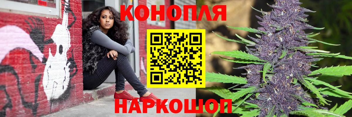 Каннабис план  Конопля VHQ  Конопля конопля  Сунжа 